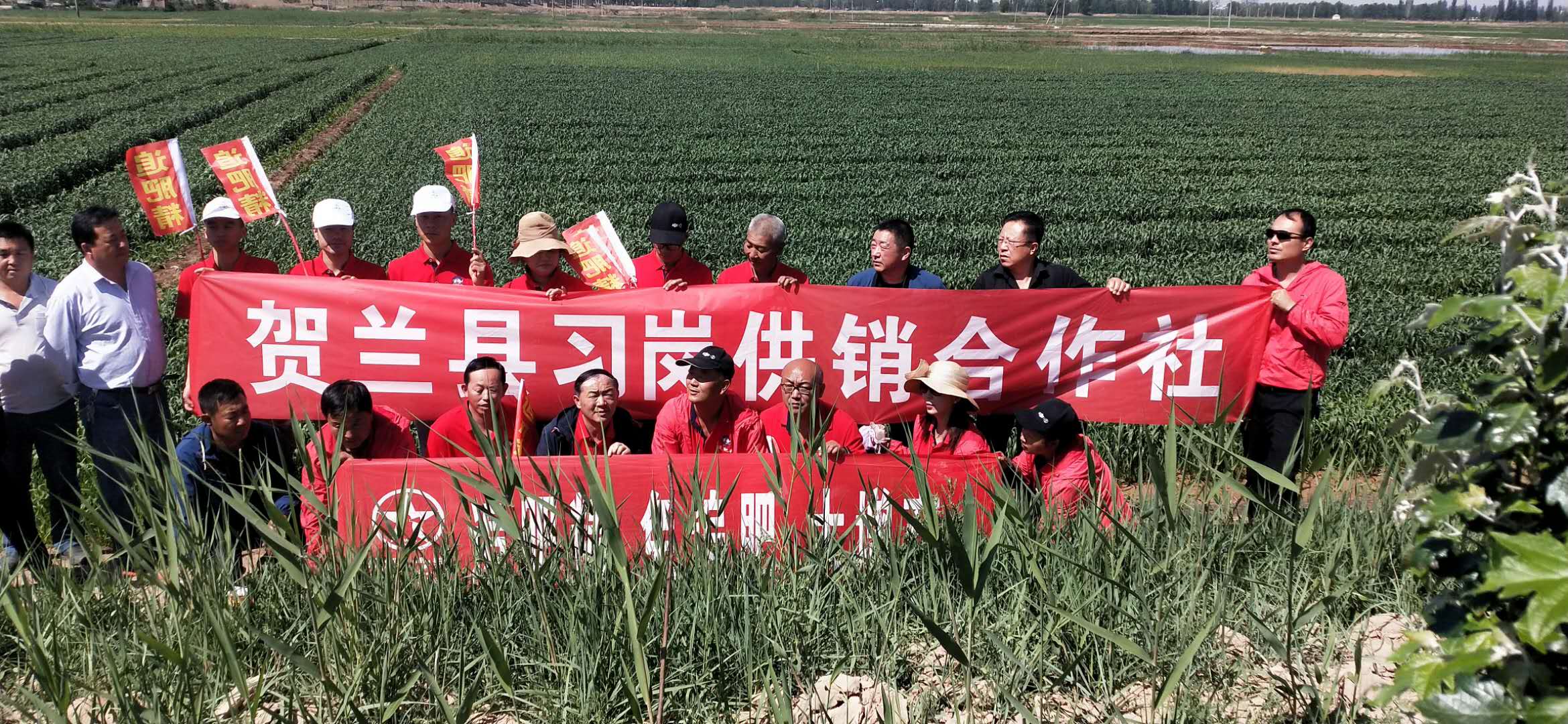 图片1.jpg