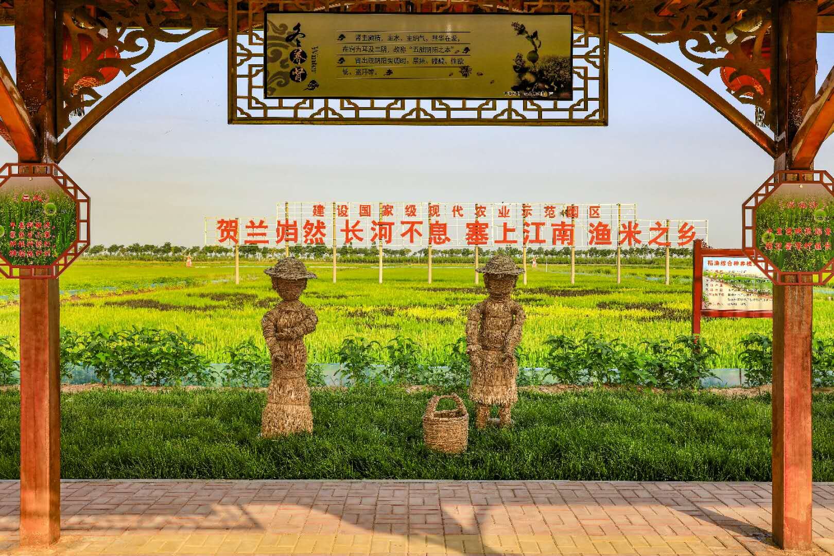 稻渔空间