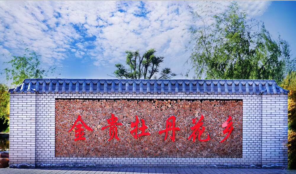 金贵牡丹花乡